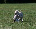 20150912-shrl-0480