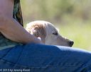 20150912-shrl-0553