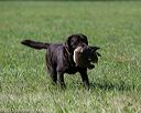 20150912-shrl-0577