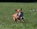 20150912-shrl-0617