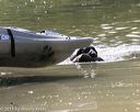20150912-shrw-0175