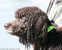 20150912-shrw-0693