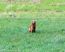 20150913-seal-0122