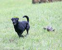 20150913-seal-0163