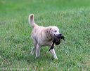 20150913-seal-0241