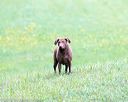 20150913-seal-0374