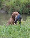 20150913-seaw-0036