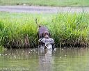 20150913-seaw-0142