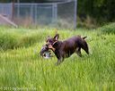 20150913-seaw-0156