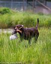 20150913-seaw-0160