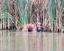 20150913-seaw-0190