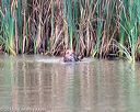 20150913-seaw-0193