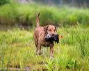 20150913-seaw-0206