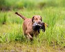 20150913-seaw-0209