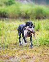 20150913-seaw-0259