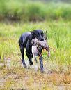 20150913-seaw-0261