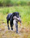 20150913-seaw-0263