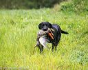 20150913-seaw-0300