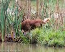 20150913-seaw-0348