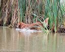 20150913-seaw-0349