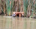 20150913-seaw-0352