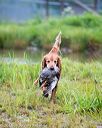 20150913-seaw-0362