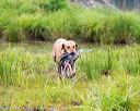 20150913-seaw-0409