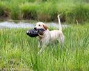 20150913-seaw-0597