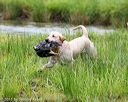 20150913-seaw-0598