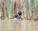 20150913-seaw-0742