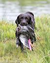 20150913-seaw-0756