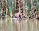 20150913-seaw-0793