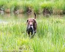20150913-seaw-0798