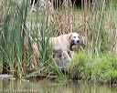 20150913-seaw-0842