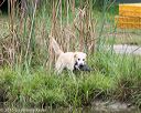 20150913-seaw-0844