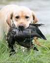20150913-seaw-0879