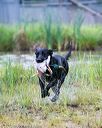 20150913-seaw-0992