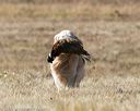 20151010-wcl-0251