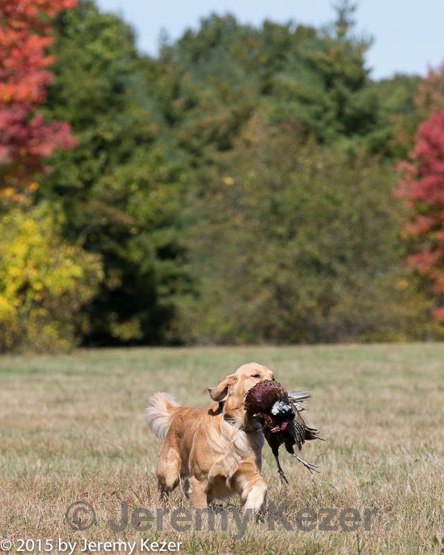 20151010-wcl-0228.jpg