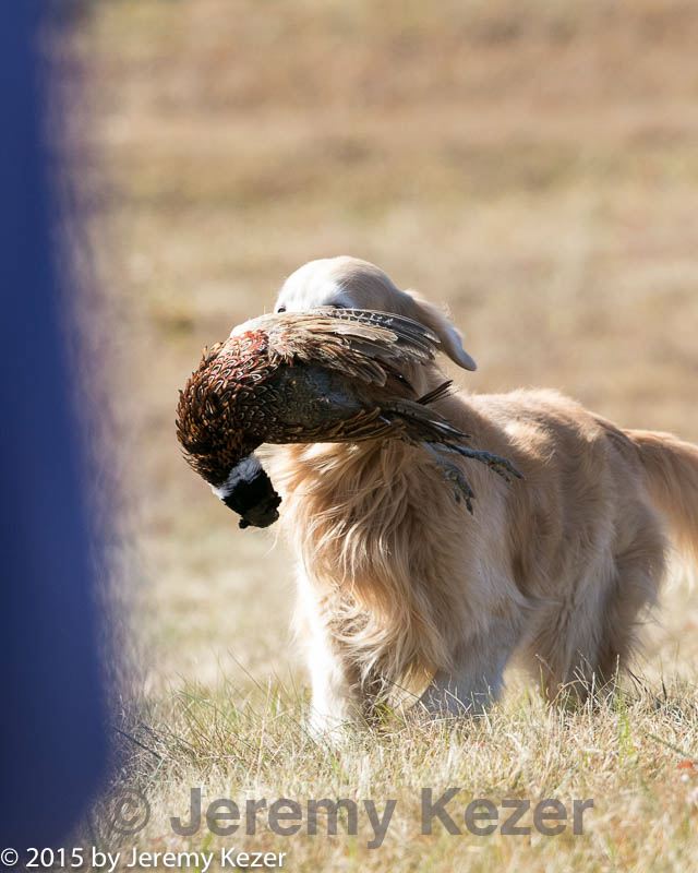 20151010-wcl-0257.jpg