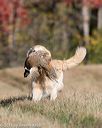 20151010-wcxl-0056