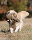 20151010-wcxl-0062