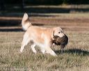 20151010-wcxl-0073