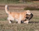 20151010-wcxl-0074