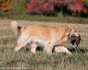 20151010-wcxl-0076