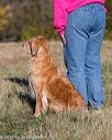 20151010-wcxl-0079