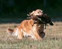20151010-wcxl-0092