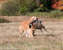 20151010-wcxl-0108