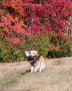 20151010-wcxl-0183