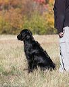 20151010-wcxl-0298